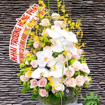 Hoa Bình 001