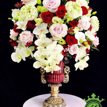 Hoa Bình 007