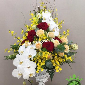 Hoa Bình 009