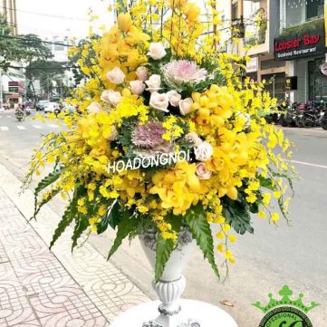 Hoa Bình 011