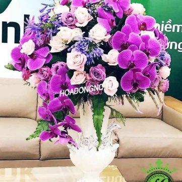 Hoa Bình 014