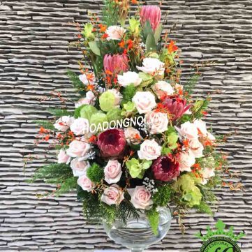 Hoa Bình 021