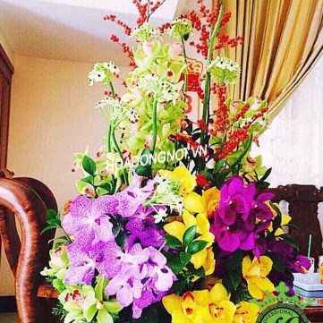 Hoa Bình 022