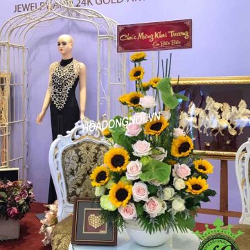 Hoa Bình 023