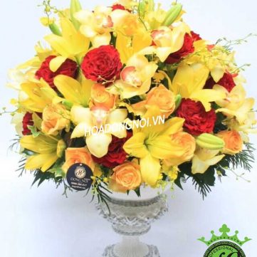 Hoa Bình 025