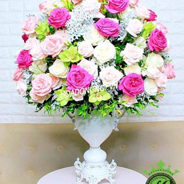 Hoa Bình 026