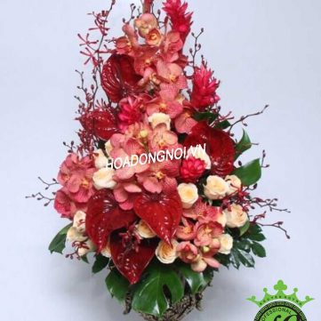 Hoa Bình 026