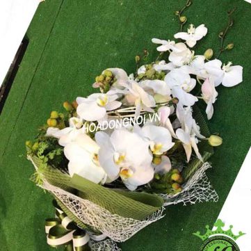 Hoa Bó Hoa Đồng Nội 011-0