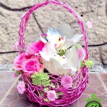 Hoa cằm tay cô dâu Hoa Đồng Nội 011