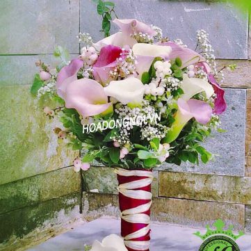 Hoa cằm tay cô dâu Hoa Đồng Nội 014