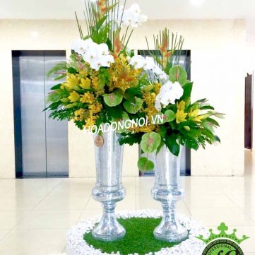 Hoa Đại Sảnh Hoa Đồng Nội 019