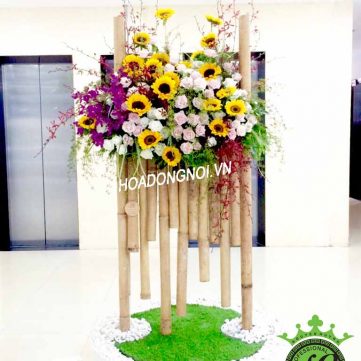 Hoa Đại Sảnh Hoa Đồng Nội 023