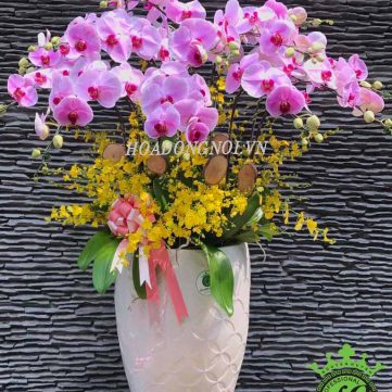 Hoa Lan Hồ Điệp Hoa Đồng Nội 005