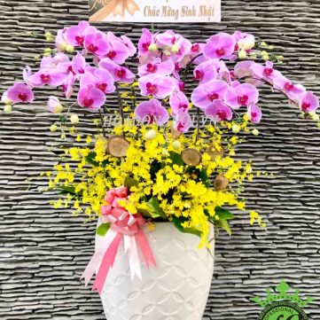Hoa Lan Hồ Điệp Hoa Đồng Nội 016