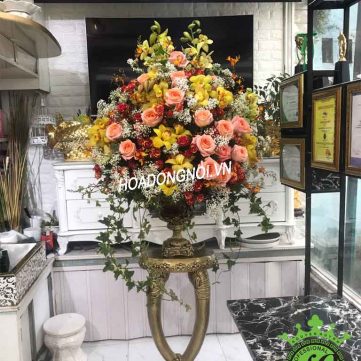 Hoa Bình Hoa Đồng Nội 030
