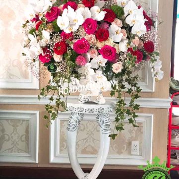 Hoa Bình Hoa Đồng Nội 032
